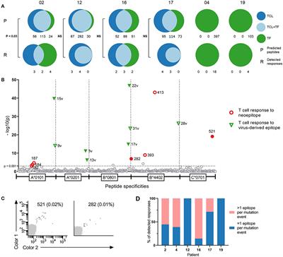 Tumor-Infiltrating T Cells From Clear Cell Renal Cell Carcinoma Patients Recognize Neoepitopes Derived From Point and Frameshift Mutations